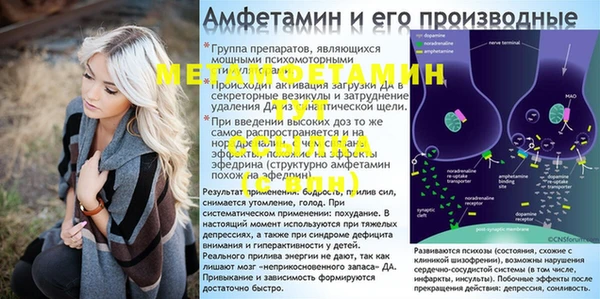мяу мяу мука Арсеньев