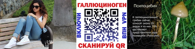 Галлюциногенные грибы Psilocybine cubensis Ленинск-Кузнецкий